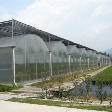 Evaporative Cooling Pad Agricultural Greenhouse